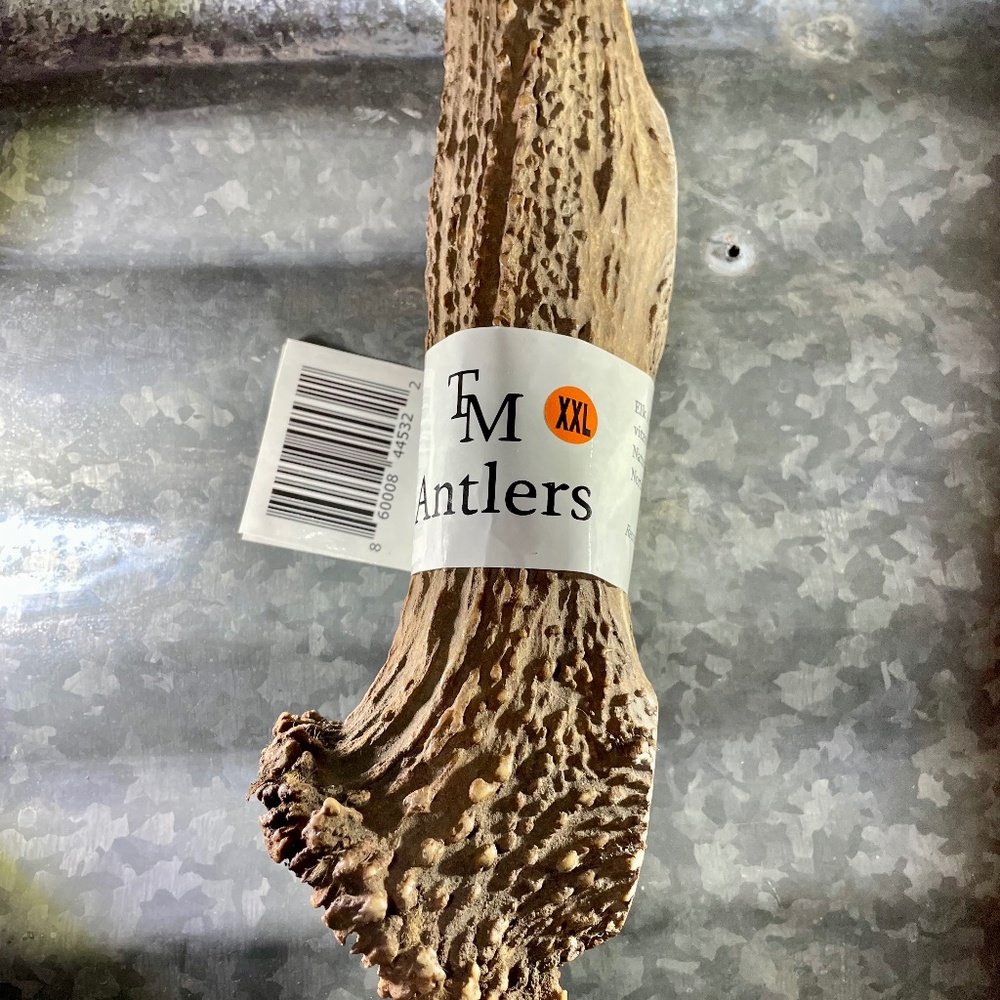 Elk Antler Whole Dog Chew - Size XXL